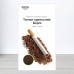 Семена Табак курительный Берли (Польша), 1г